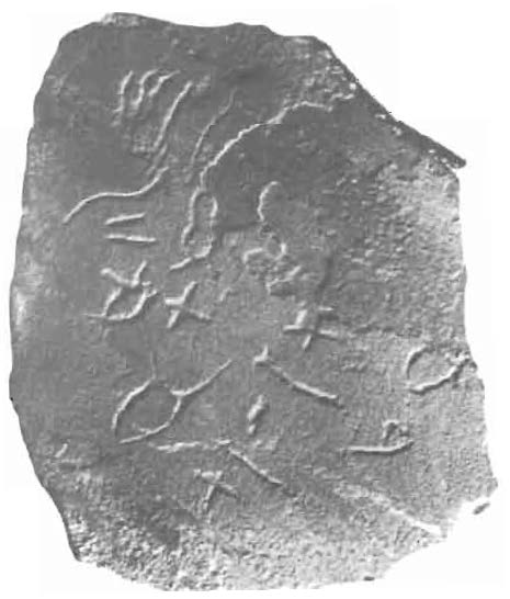 Frammento con iscrizione Sinai 363